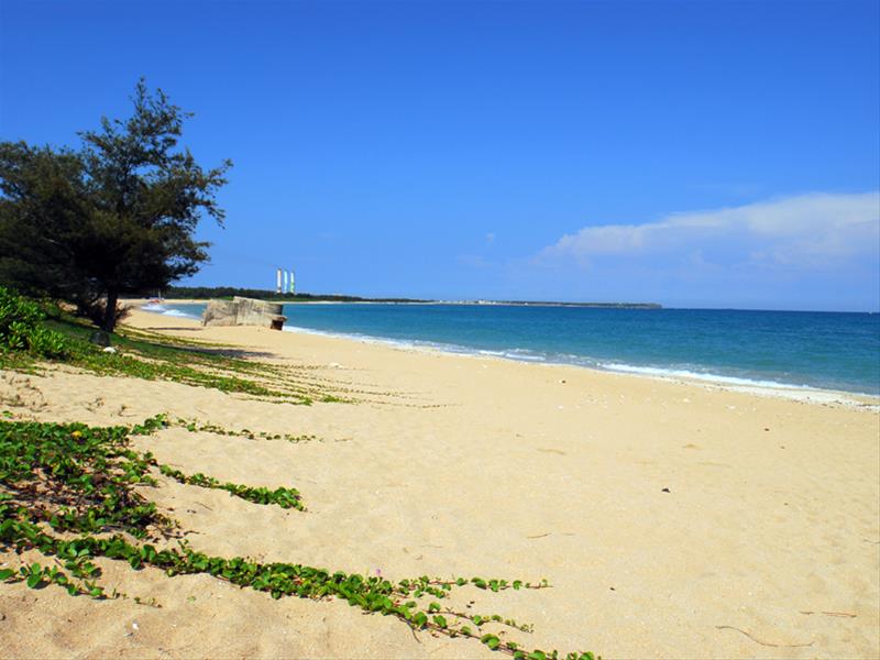 風在林投打卡，陽光在留言｜澎湖最會「發文」的海岸風景