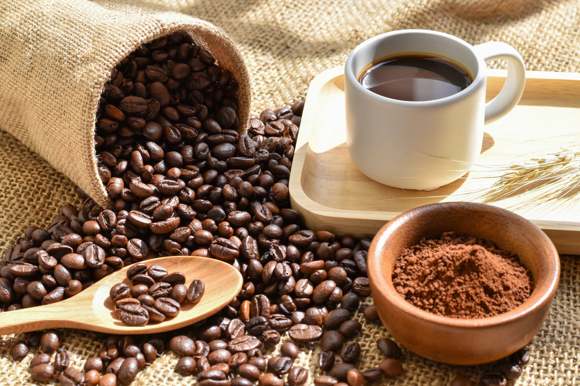 ☕ 雲林古坑咖啡節開跑！入住《111古坑行旅》送城堡門票免費玩！