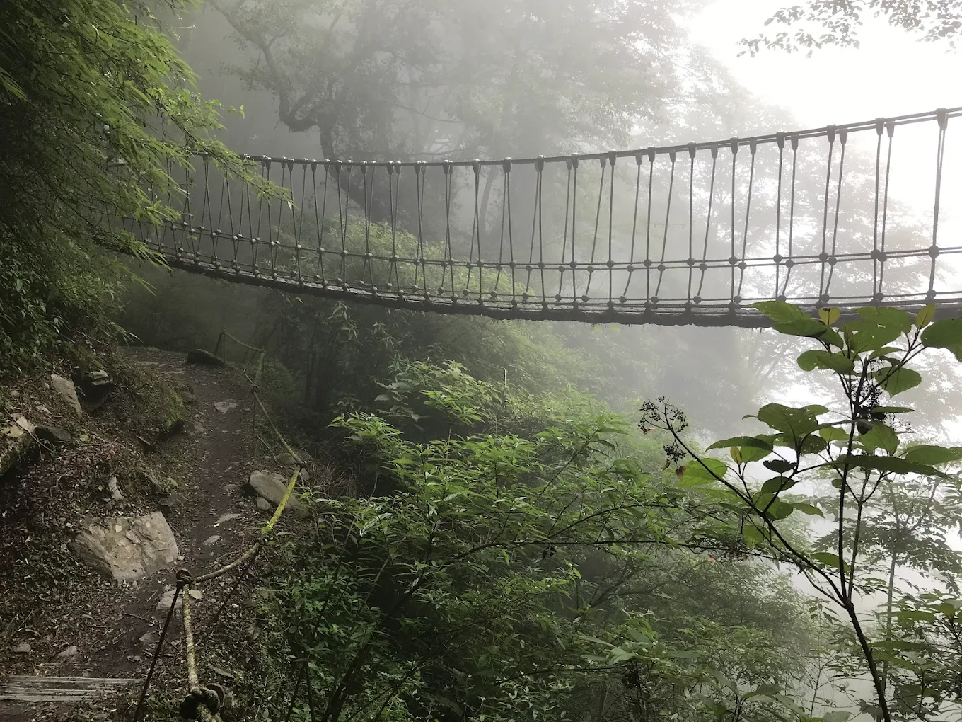 檜山巨木群步道