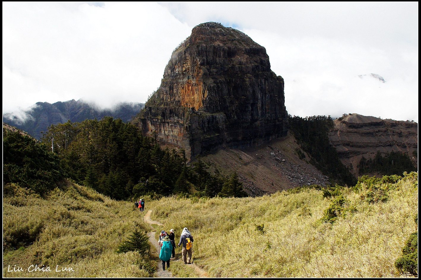清晨走進雪霸國家公園的雲霧森林，聽山風吹過樹梢的聲音