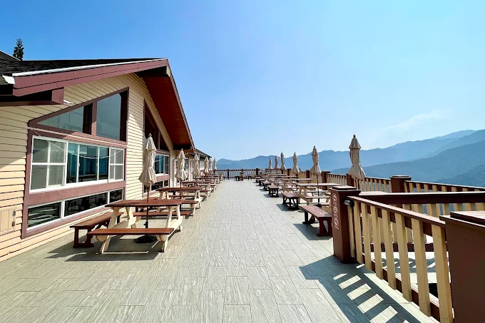 清晨走進雪霸國家公園的雲霧森林，聽山風吹過樹梢的聲音