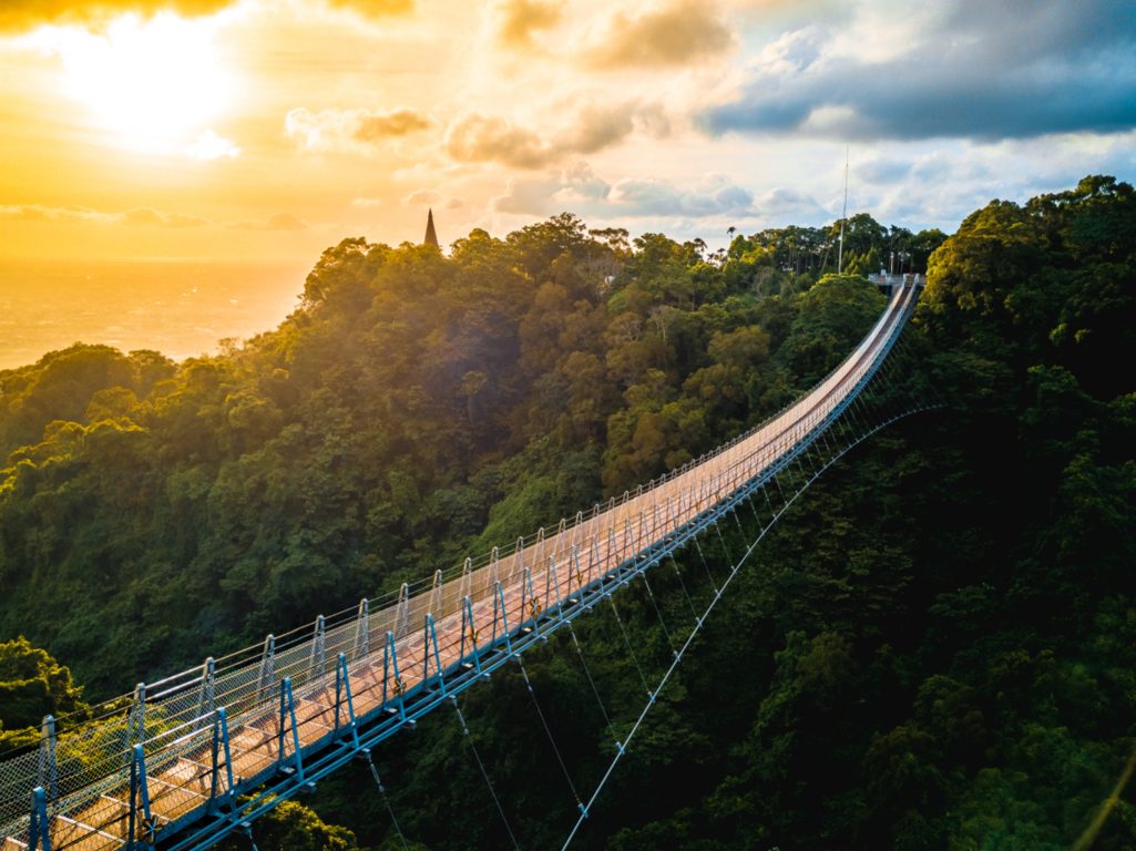 秋冬限定的浪漫:南投落羽松如油畫,遇上日月潭的湖光,才懂何謂「心動行程」