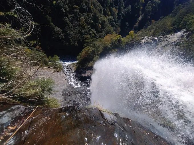 秋冬限定的浪漫:南投落羽松如油畫,遇上日月潭的湖光,才懂何謂「心動行程」