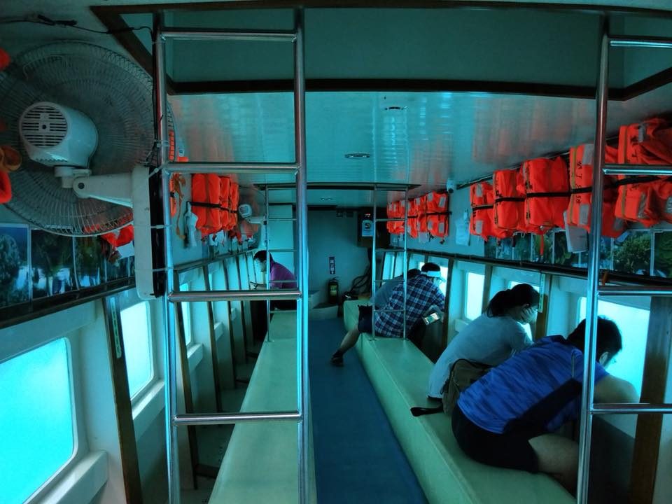 不是迷路，是「迷上這片藍」｜貓鼻頭一日遊，從海蝕崖到海鮮桌