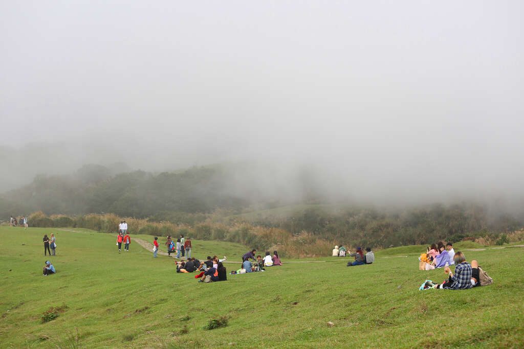 從竹子湖花季出發走上七星山步道，在白色海芋與山風裡看見台北盆地延伸