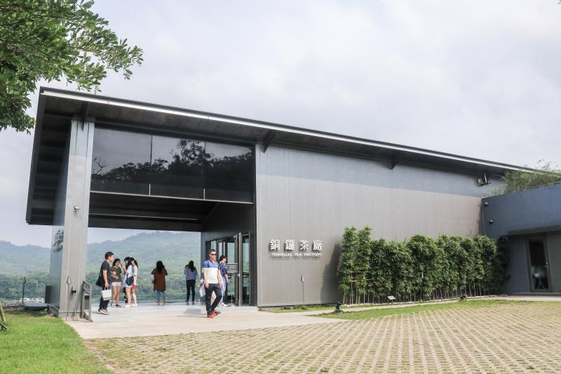 十一月的銅鑼鄉，杭菊花開如雪，我在九湖村的風裡等一場秋色綻放