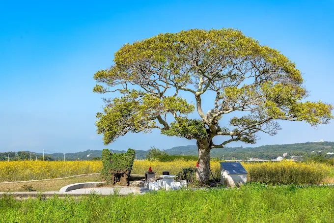 邱家古厝（圖／苗栗文化觀光旅遊網）