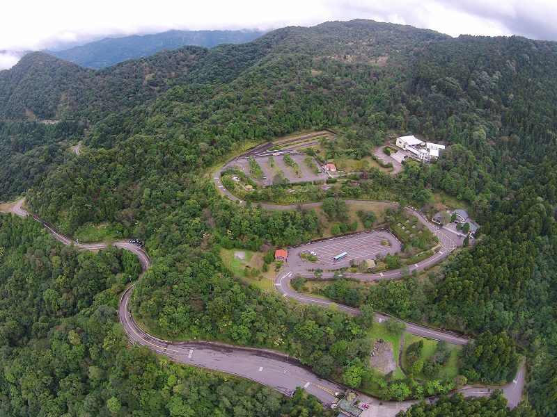 東眼山雲海與杉林景觀