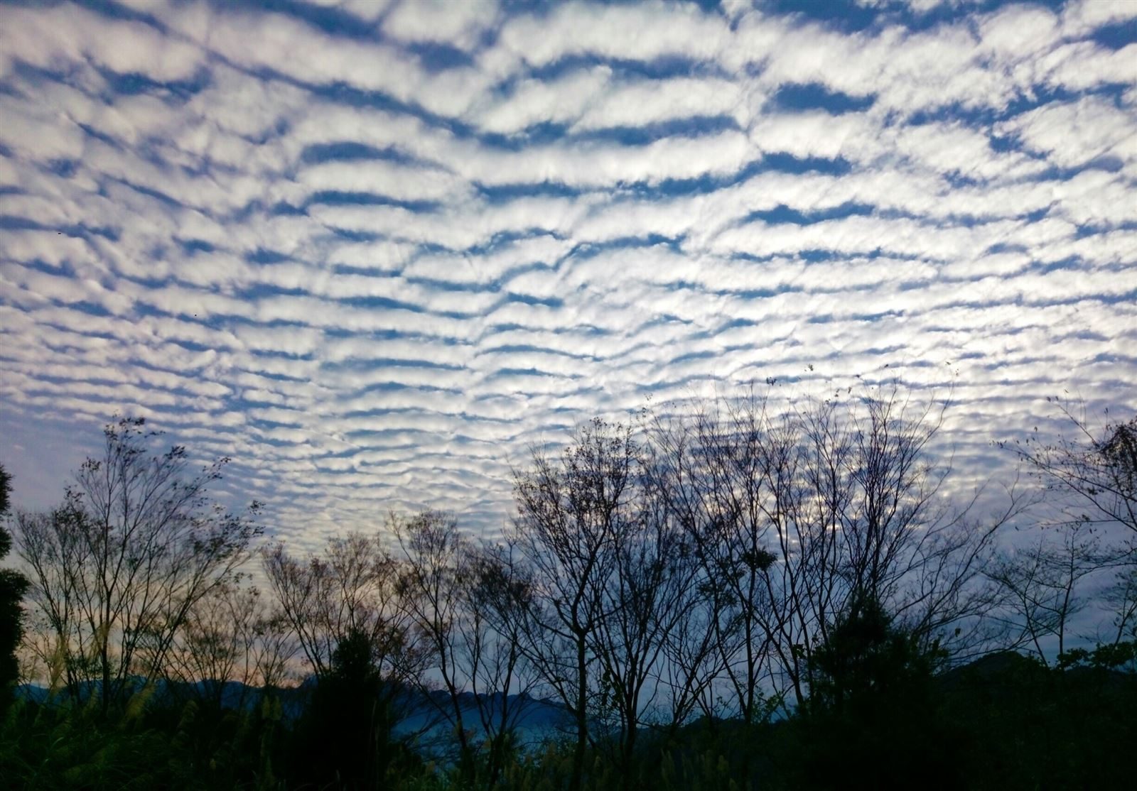 東眼山雲霧繚繞之美