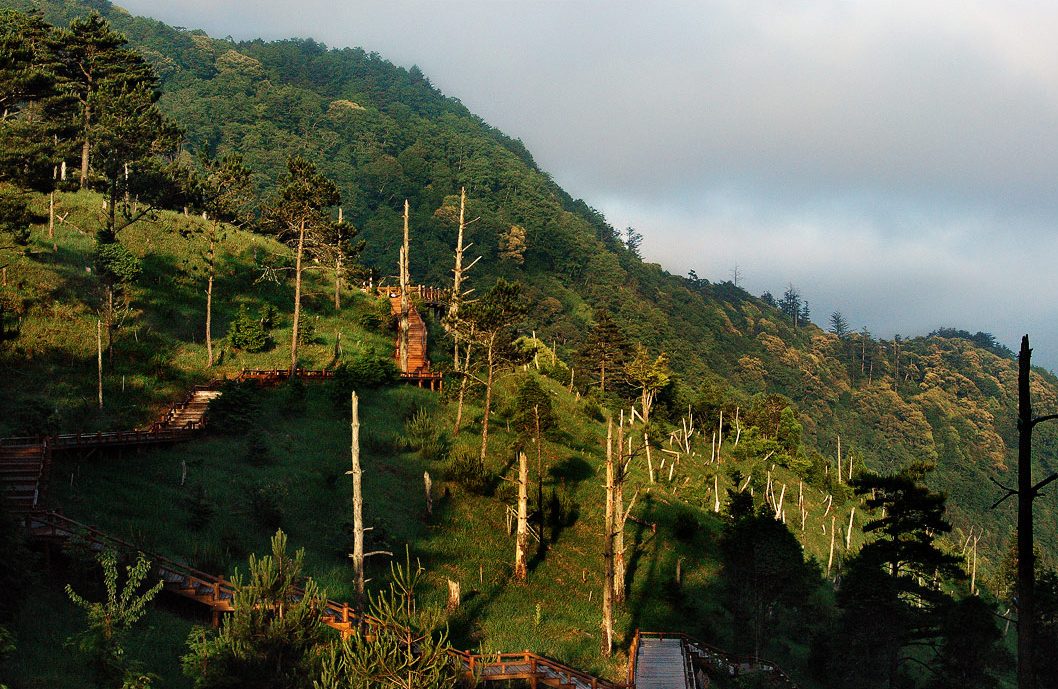 當城市太吵時就往北台灣國家森林遊樂區去，在森林裡聽見自己的心跳
