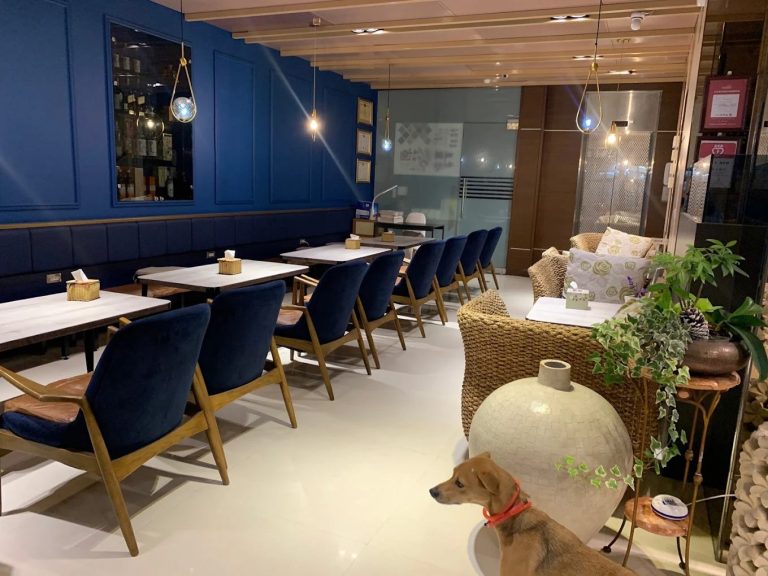 宜蘭礁溪【美嘉美大飯店】｜寵物友善溫泉住宿，一泊三食只要 $2,399 起！