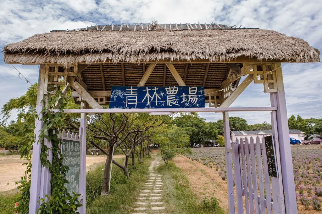 桃園青林農場｜親子必訪農業、美食與互動體驗秘境