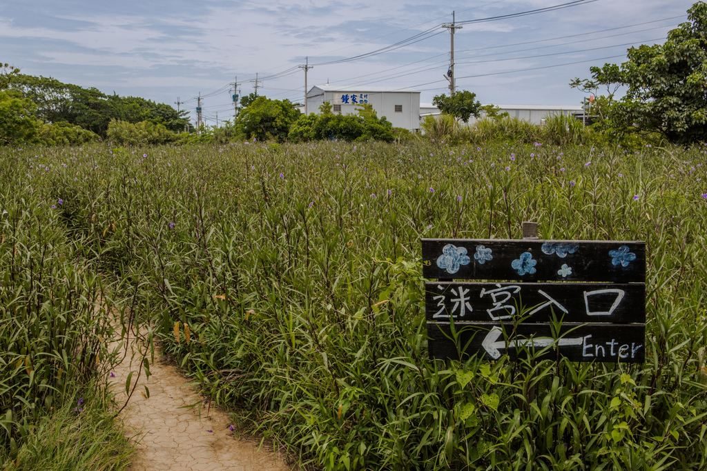 桃園青林農場｜親子必訪農業、美食與互動體驗秘境