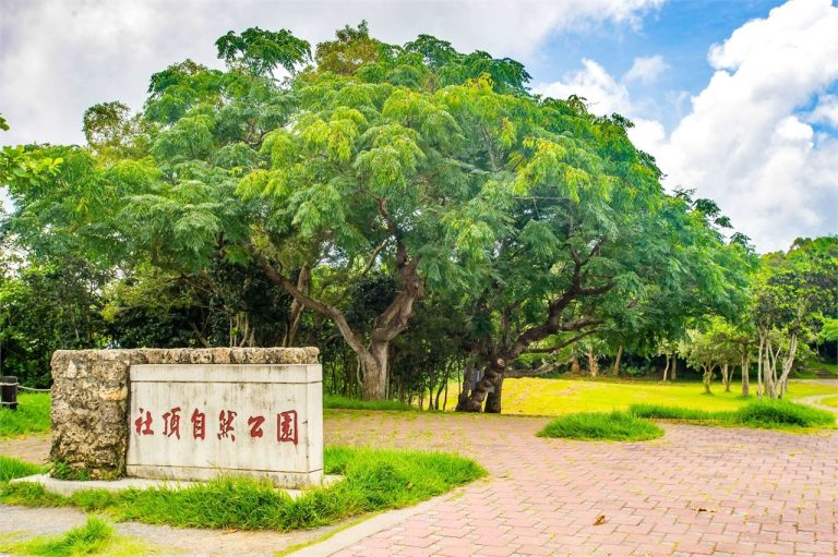 墾丁社頂自然公園攻略｜屏東家庭親子與自然愛好者首選景點