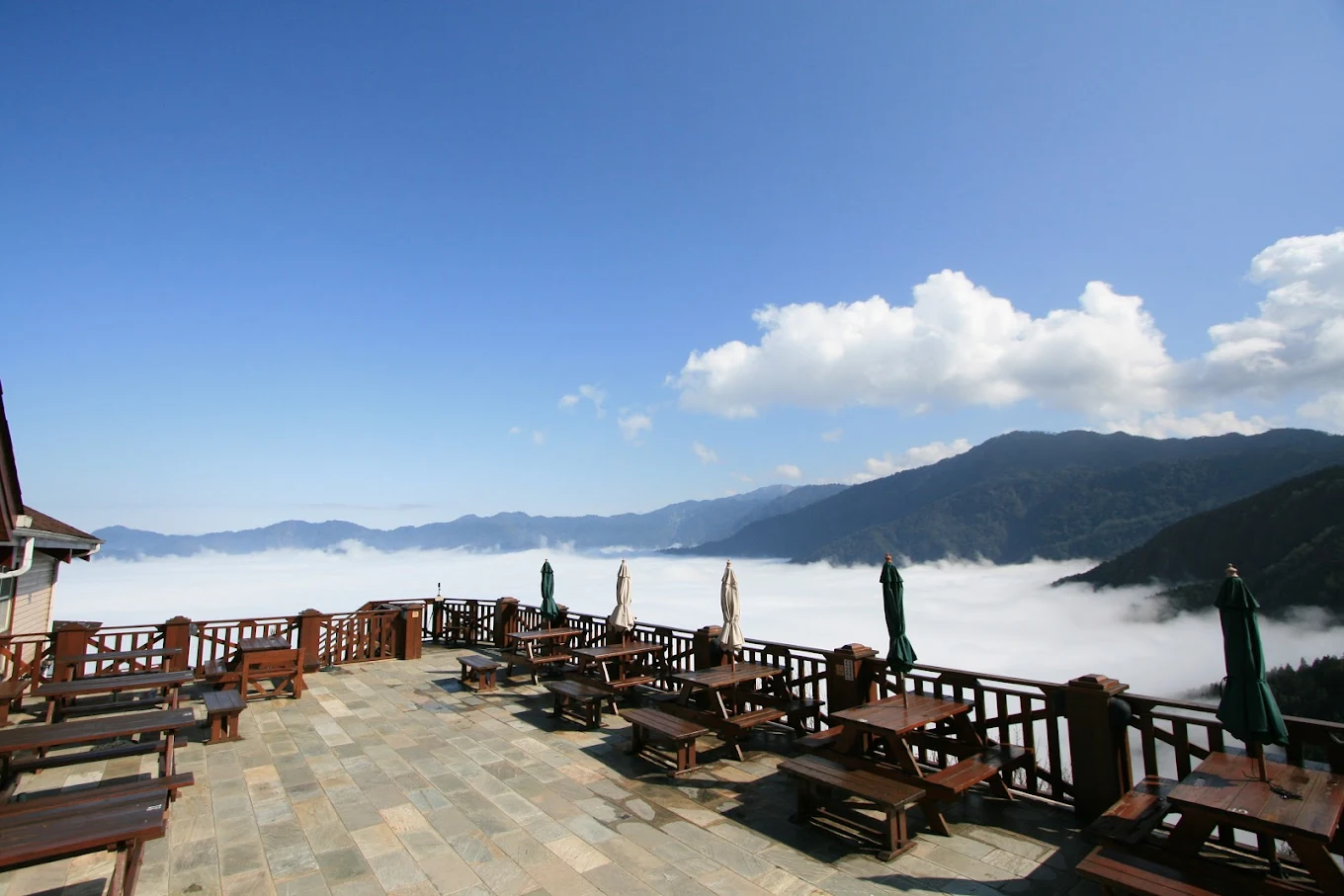 🌿 雪霸休閒農場｜雲海、花海與滿天星的高山秘境