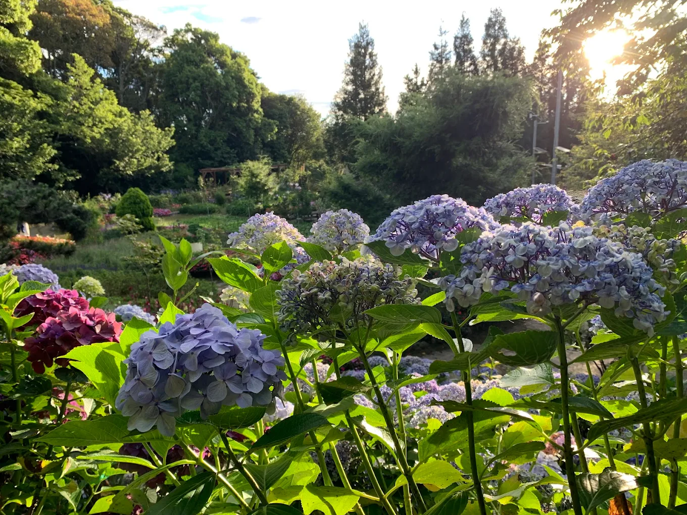 農場內四季花卉盛開，色彩繽紛的花海與遠處的山巒相互輝映。