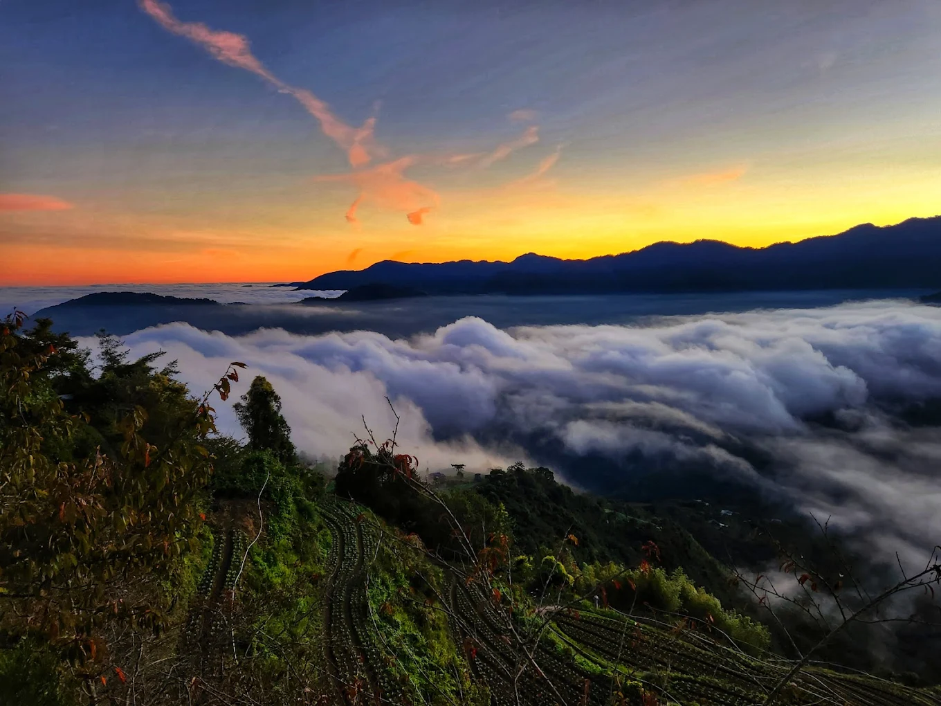 夜晚的農場靜謐安詳，無光害的環境是觀星的最佳地點。