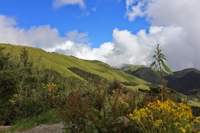 清境農場｜一場綠意與微風的邂逅，旅行不只是遠方，也是心的歸宿