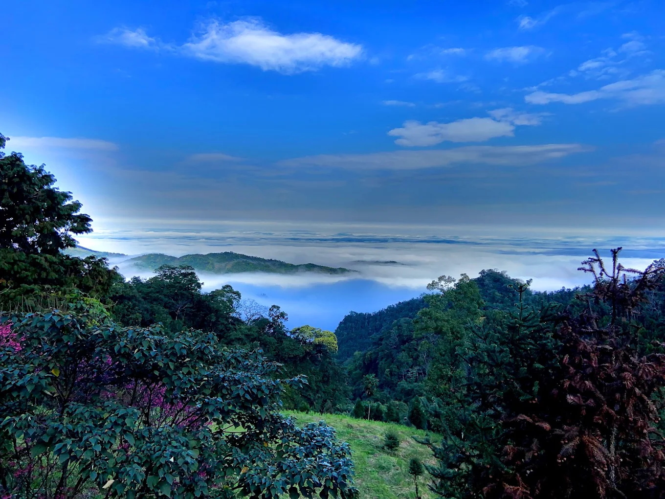 莊園的戶外休息區，可欣賞山景