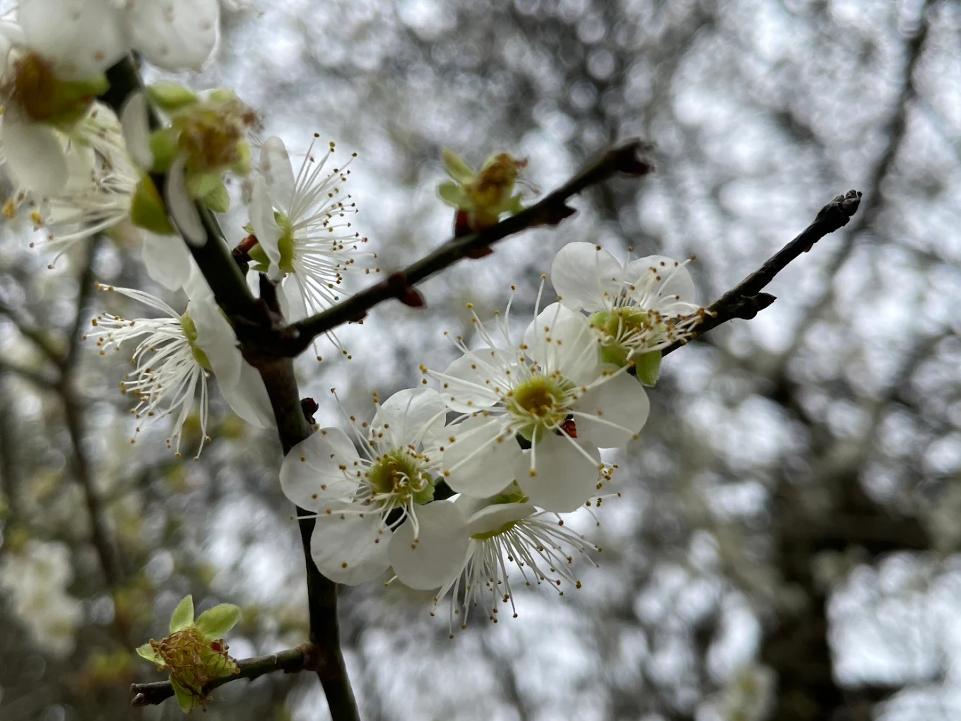 農場提供舒適的住宿環境與在地美食，是放鬆身心的絕佳選擇。