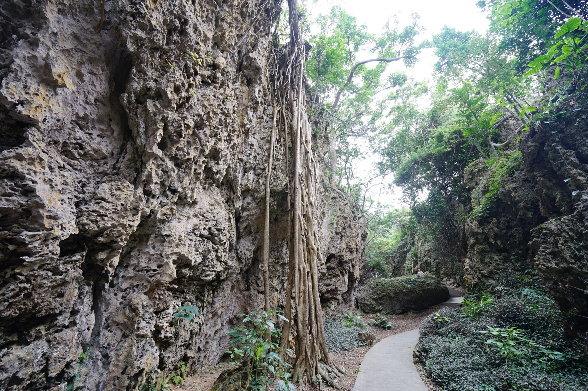 墾丁國家公園|在海風與陽光交織的地方,感受南國邊境的生命力
