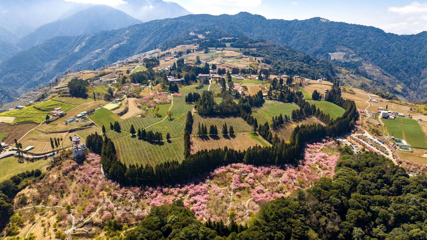 高山限定!福壽山農場秋日「楓」景正濃,拍出年度最美 IG 打卡照