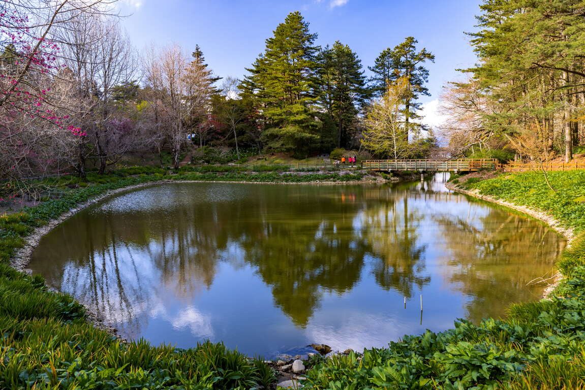 高山限定!福壽山農場秋日「楓」景正濃,拍出年度最美 IG 打卡照