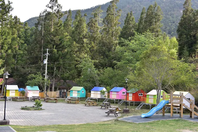 走進台中和平的武陵農場露營區,看晨霧染草、聽風穿林,一場高山裡的慢旅行正悄悄展開