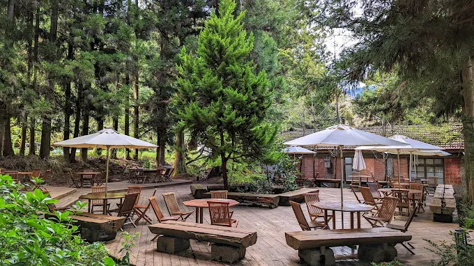 走進台中和平的武陵農場露營區,看晨霧染草、聽風穿林,一場高山裡的慢旅行正悄悄展開