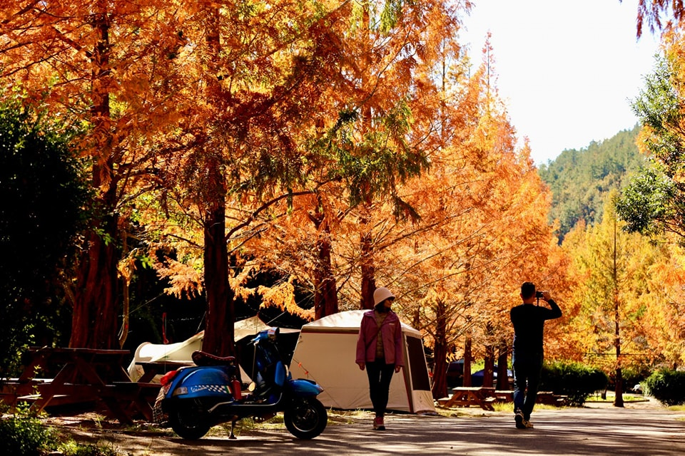 走進台中和平的武陵農場露營區,看晨霧染草、聽風穿林,一場高山裡的慢旅行正悄悄展開