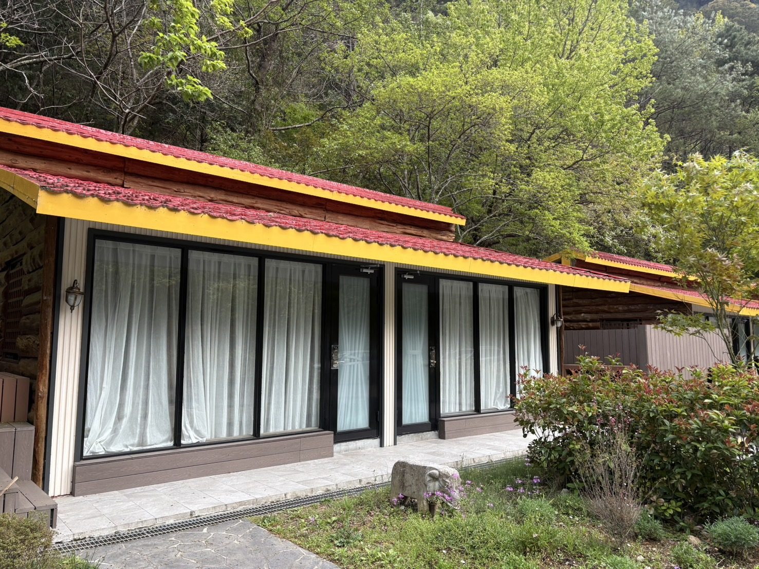 秋日的武陵國民賓館，紅葉鋪滿山徑時，旅人靜靜看著雲霧散開