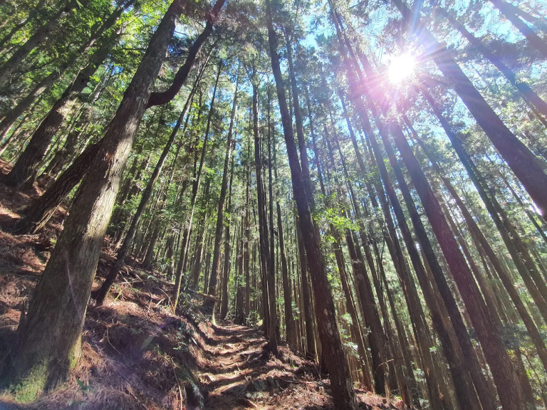 馬崙山