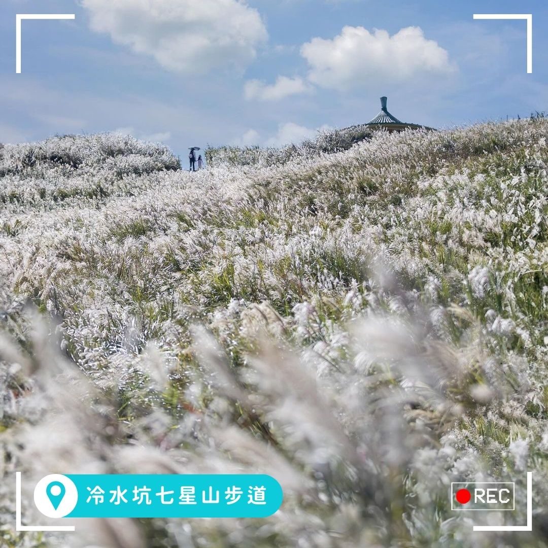 《風起北緯25度》｜從城市森林到山巒銀海，北部的秋天柔得剛剛好