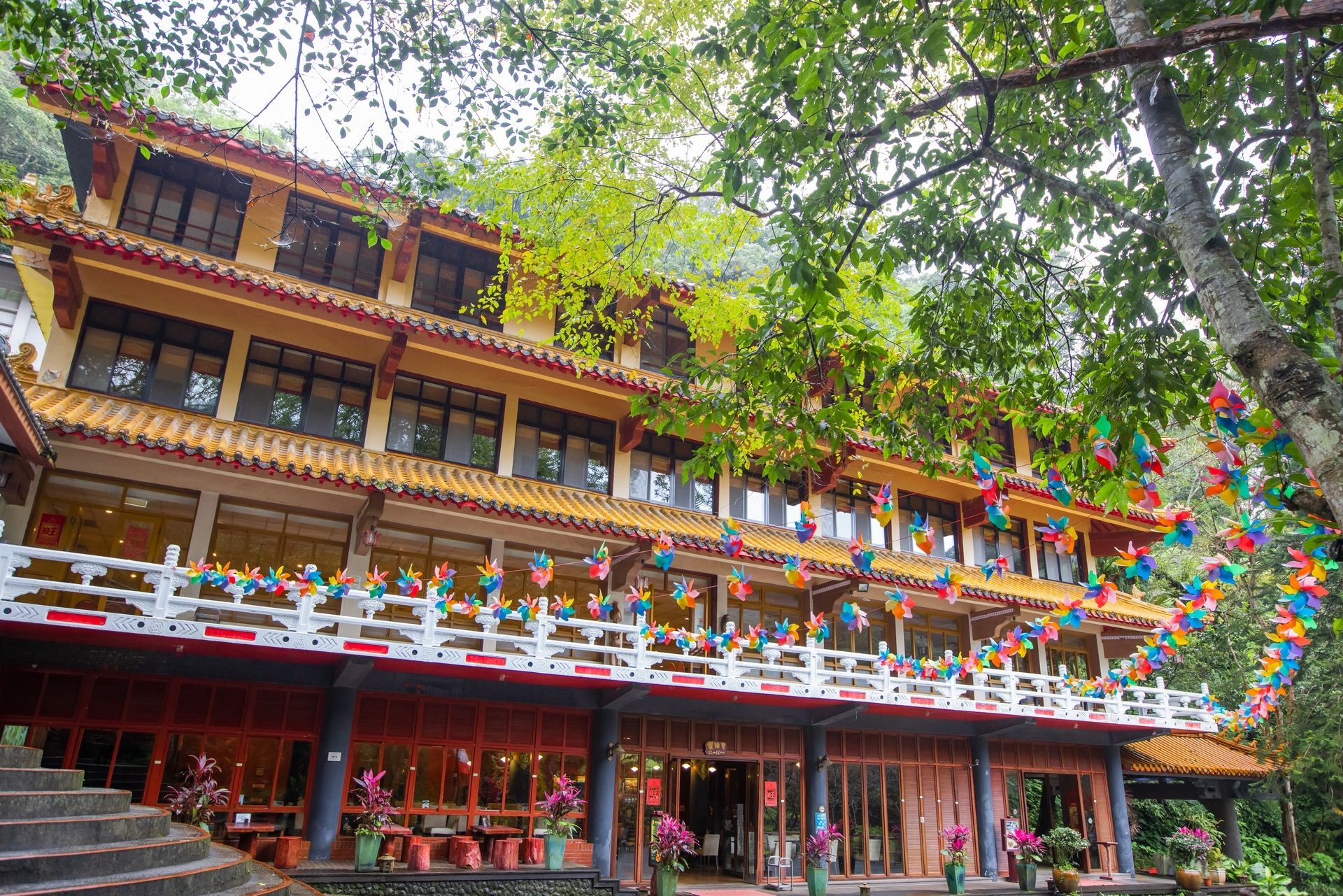 一日走完烏來老街與台車瀑布動線，把山城風景慢慢帶回家