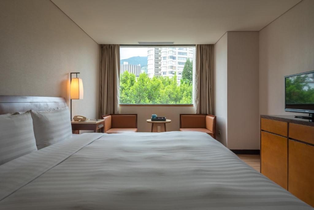 🌫️ 《霧起北投》｜一場從白磺泉開始的冬日療癒劇，連時間都慢下來了