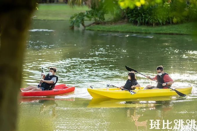 週末想放電？苗栗露營 TOP5：白天採果釣魚、晚上躺著看星空電影，行程滿到爆表
