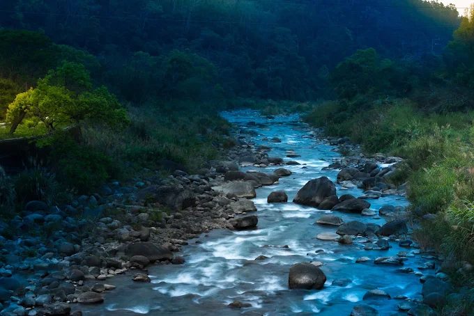 週末想放電？苗栗露營 TOP5：白天採果釣魚、晚上躺著看星空電影，行程滿到爆表