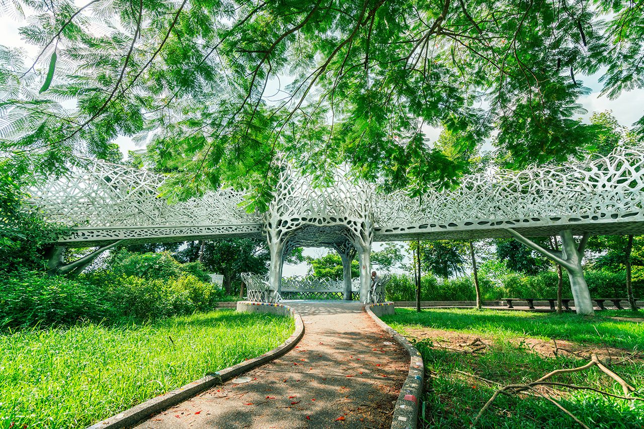 沿著嘉義公園綠蔭散步到蘭潭夕光與月影潭心夜色，在木藝與棒球故事間慢慢走一圈