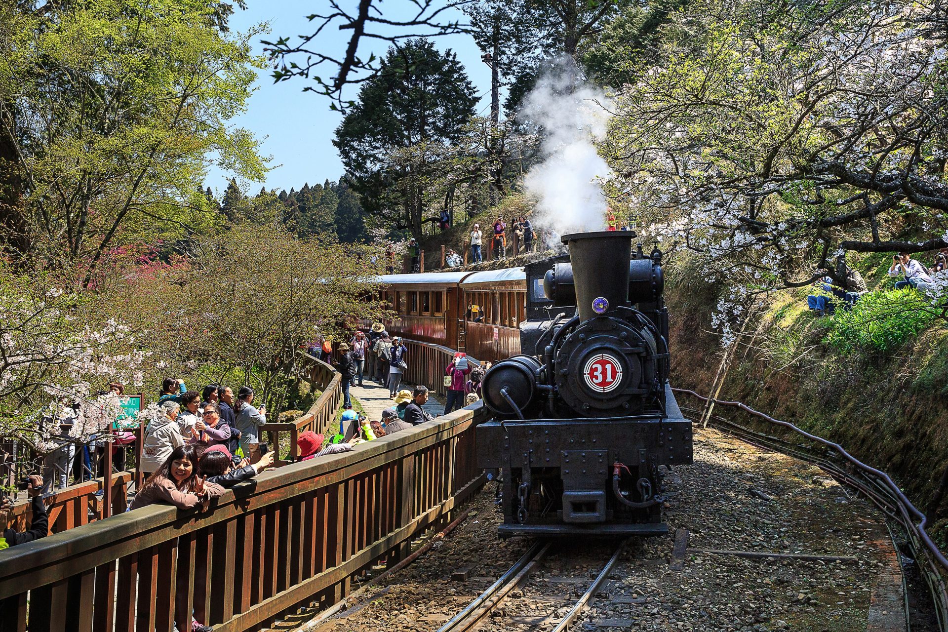 天色未亮走進阿里山車站，讓森林鐵道帶我上山迎接金色晨曦