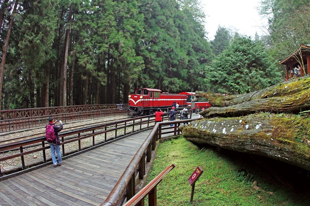 天色未亮走進阿里山車站，讓森林鐵道帶我上山迎接金色晨曦