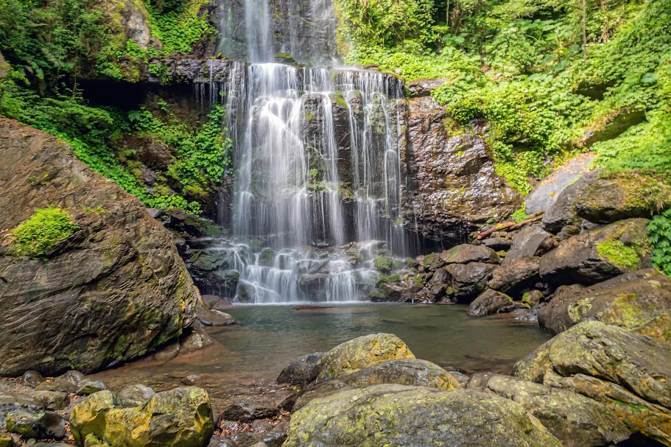 🌿 雲森瀑布｜三峽森林系秘境，一條輕鬆走到雙瀑布的夢幻步道