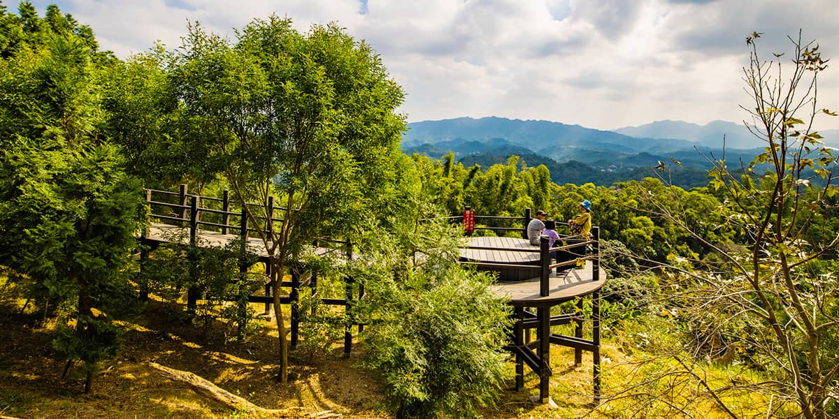 台中五大熱門步道｜風在林間流動的方向，從大坑到知高圳的城市森呼吸