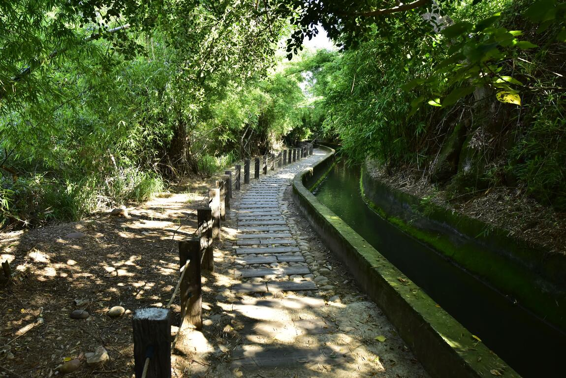 台中五大熱門步道｜風在林間流動的方向，從大坑到知高圳的城市森呼吸