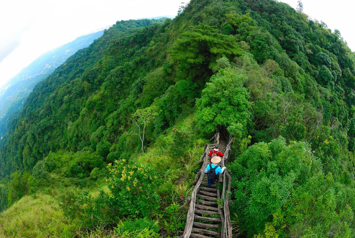 台中五大熱門步道｜風在林間流動的方向，從大坑到知高圳的城市森呼吸