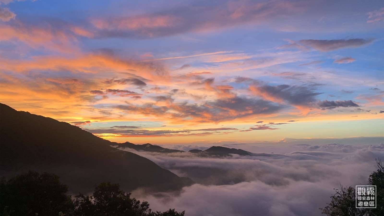 《住進雲的國度》｜觀霧山莊秋冬散步記，霧氣替生活上了一層濾鏡