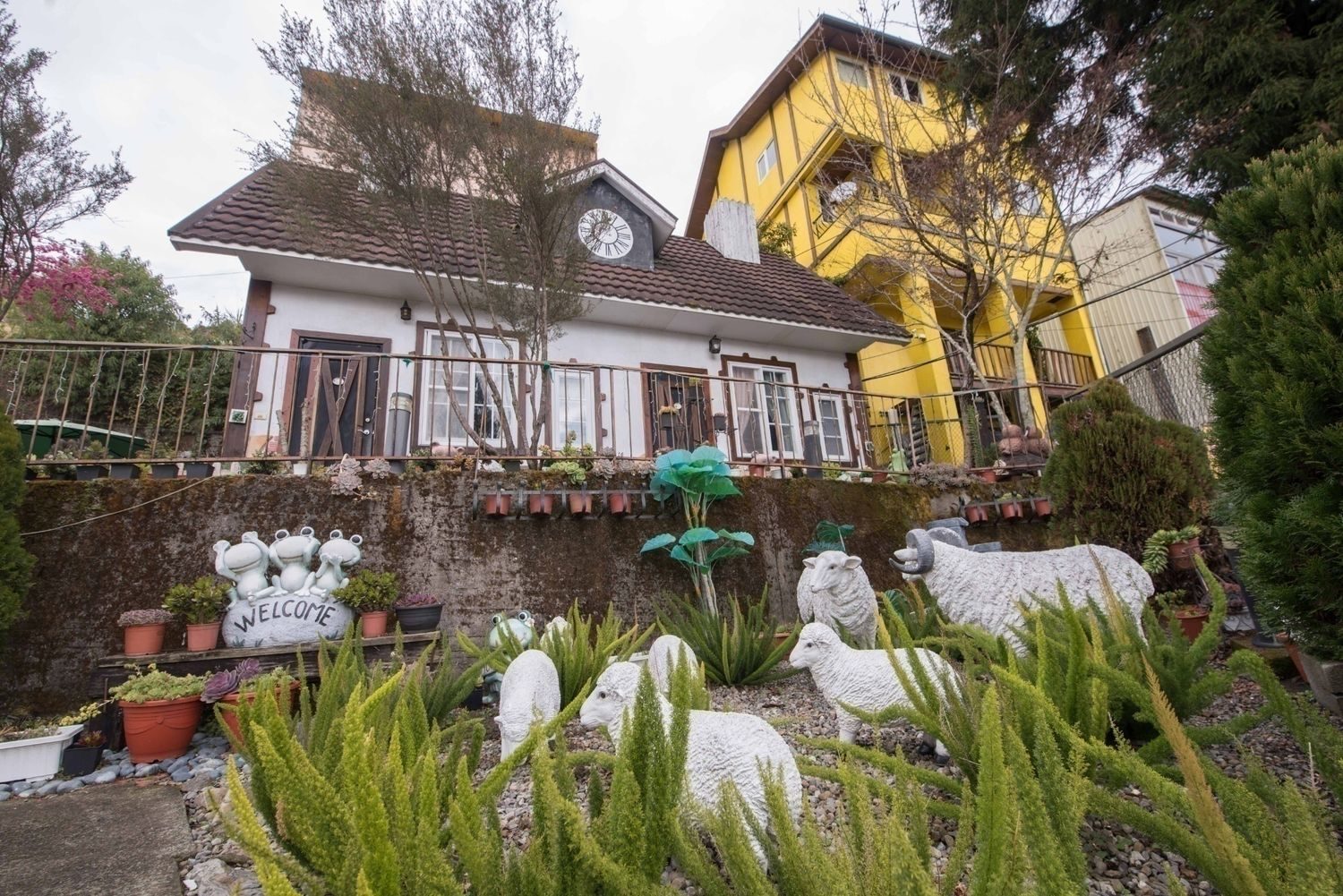 《晴靜時分，心也清靜》｜住進清境，讓星空和雲海治癒你