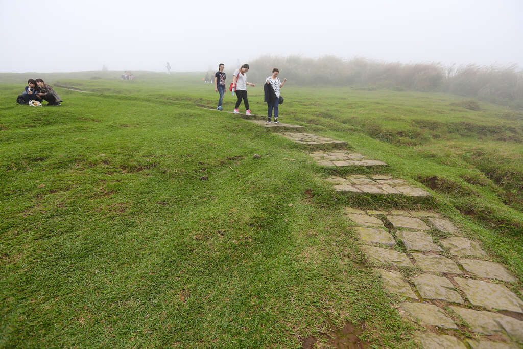 我在台北散步的一天，從大安森林的早晨到國父紀念館的夜