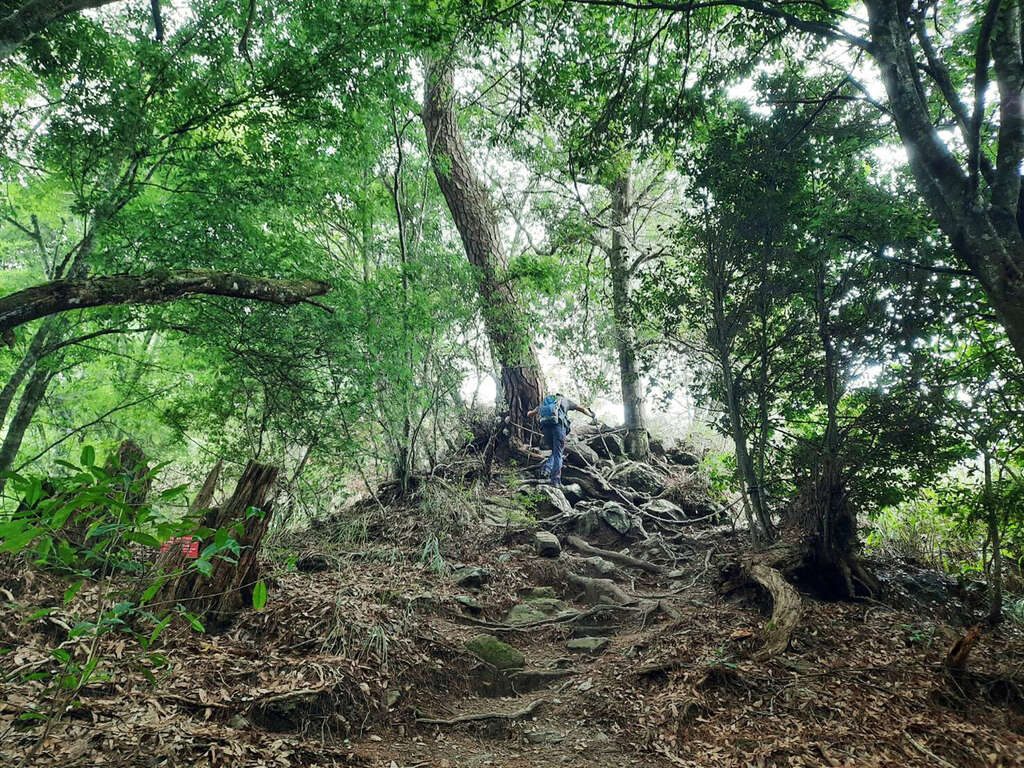 《從壓力山大到谷關山大景》｜泡一池溫泉，讓生活重啟呼吸