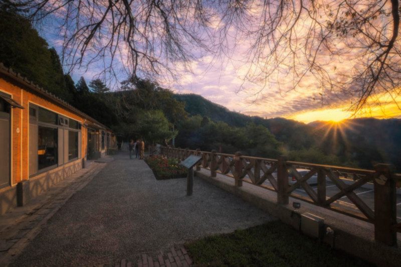 《住進雲的國度》｜觀霧山莊秋冬散步記，霧氣替生活上了一層濾鏡