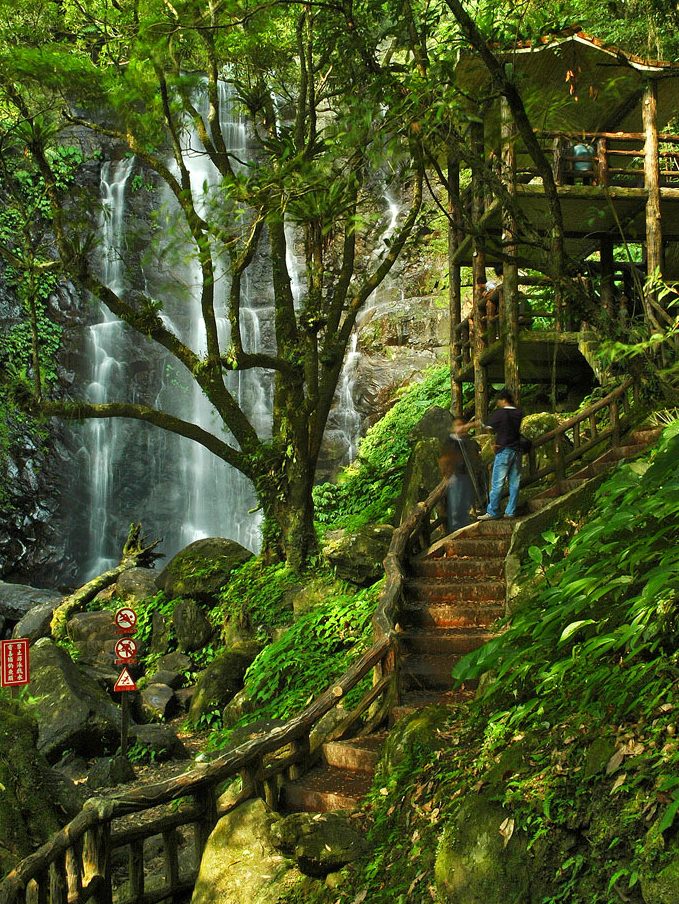 把週末交給三峽大板根森林溫泉酒店，在森林步道與暖霧美人湯之間度過療癒時光